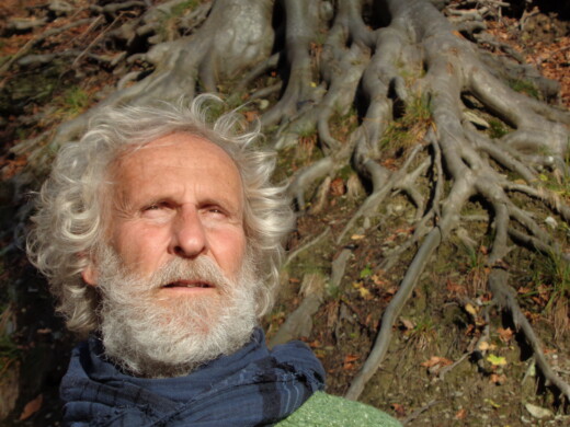 La via degli alberi