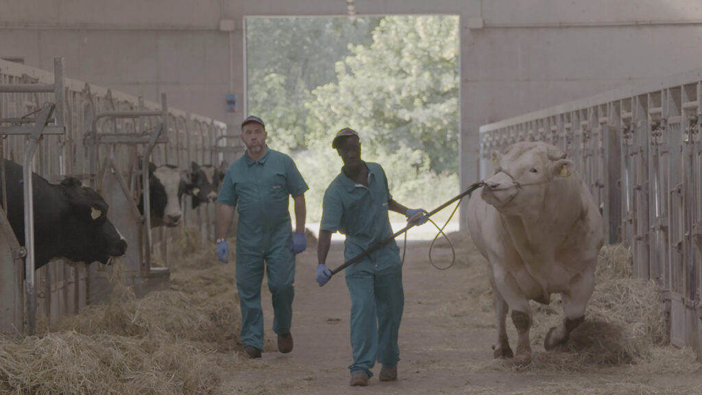 Mephistopheles – Eine Grand Tour