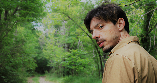 Il richiamo della foresta