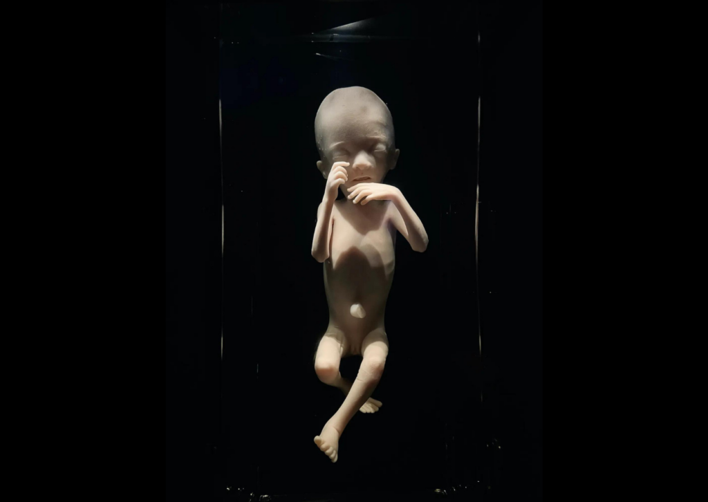 Le sacre du printemps